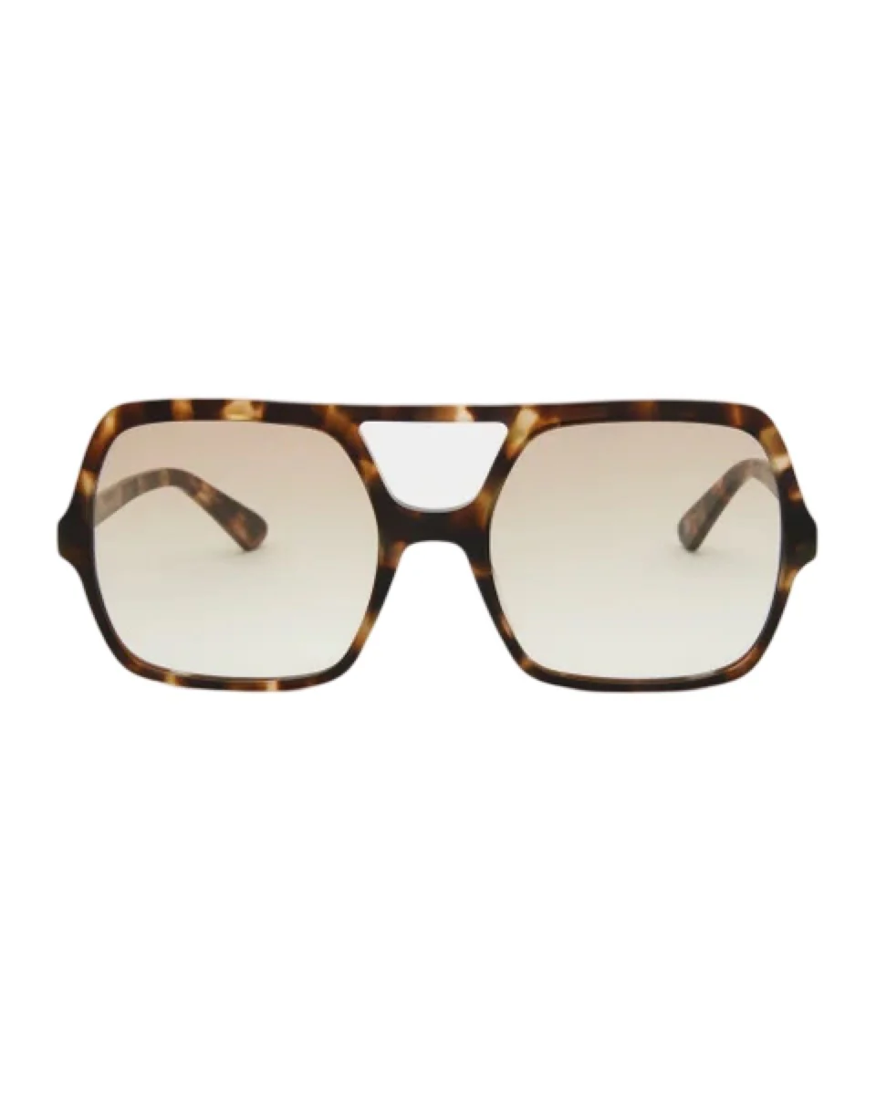 Brun Lilly Turtle Tinted Readers