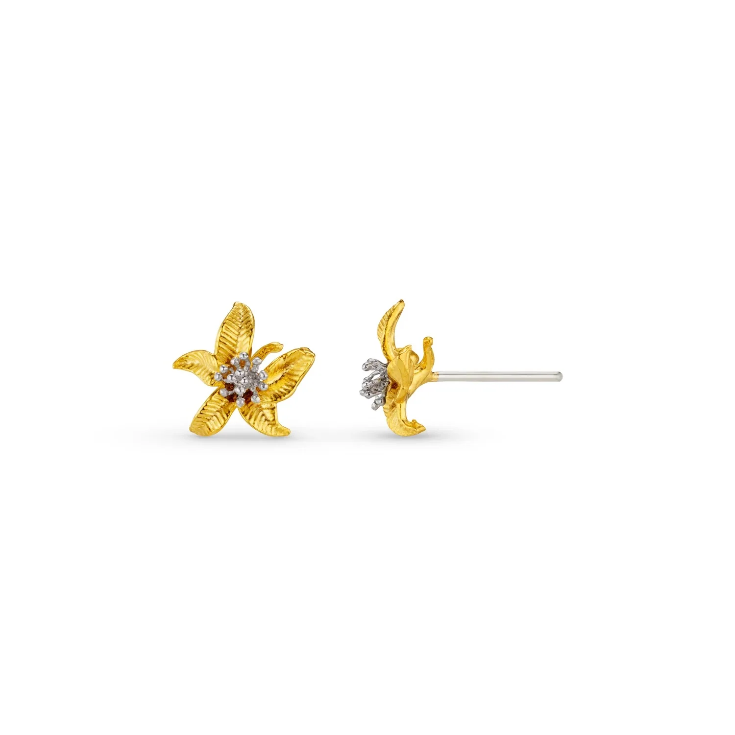 Gull Textured stud