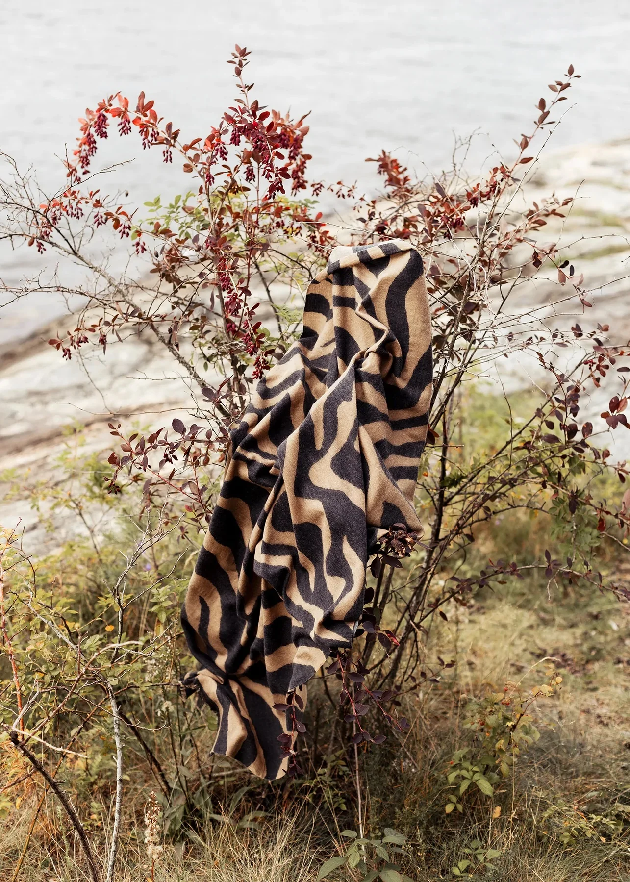 Multi Zebra Camel Scarf - Image 2